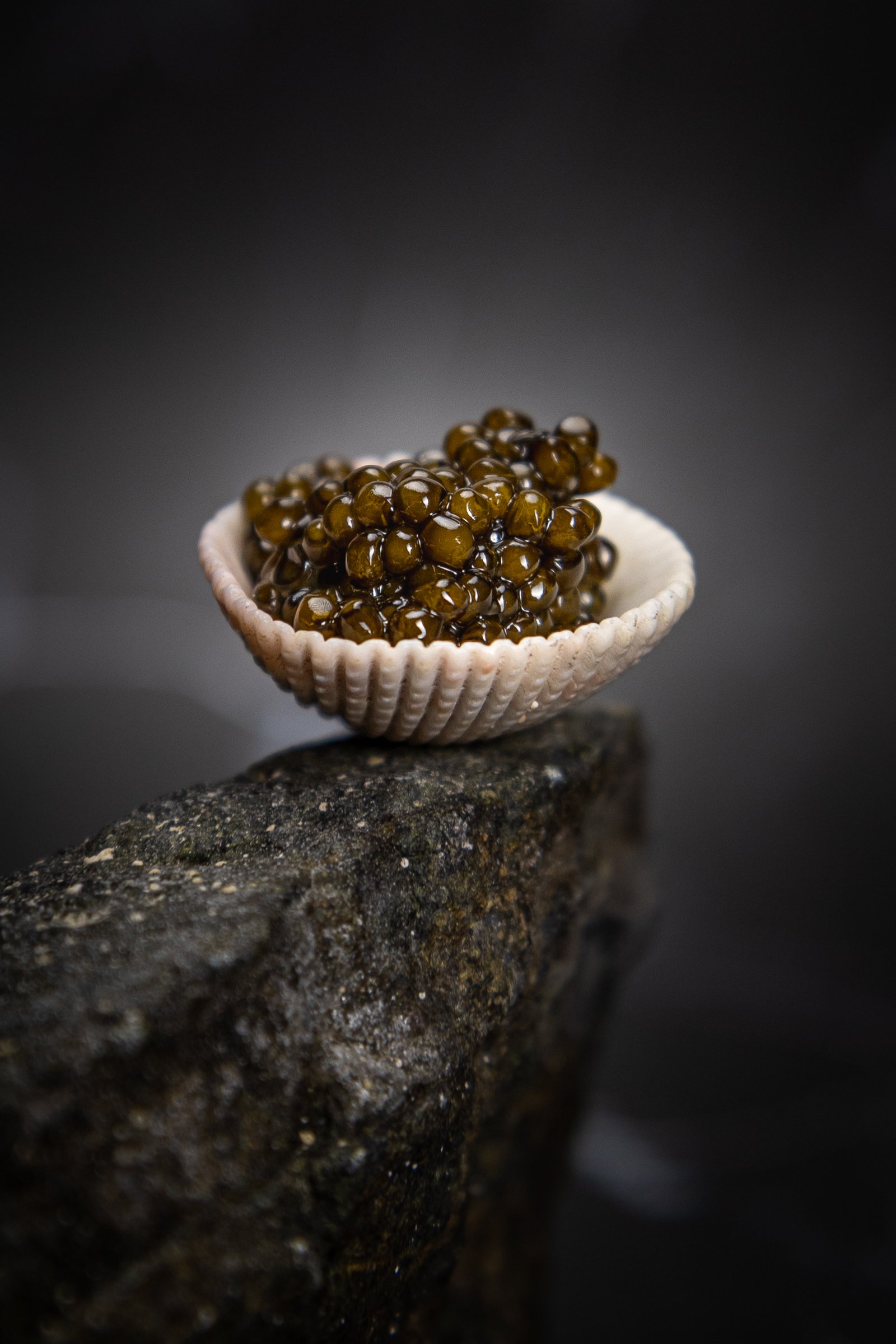 Caviar hero image 3