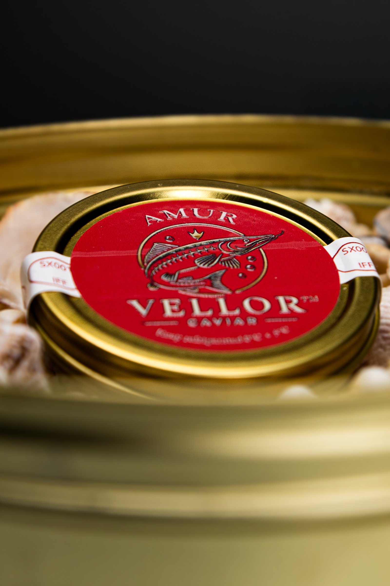 Vellor Instagram feature image 2