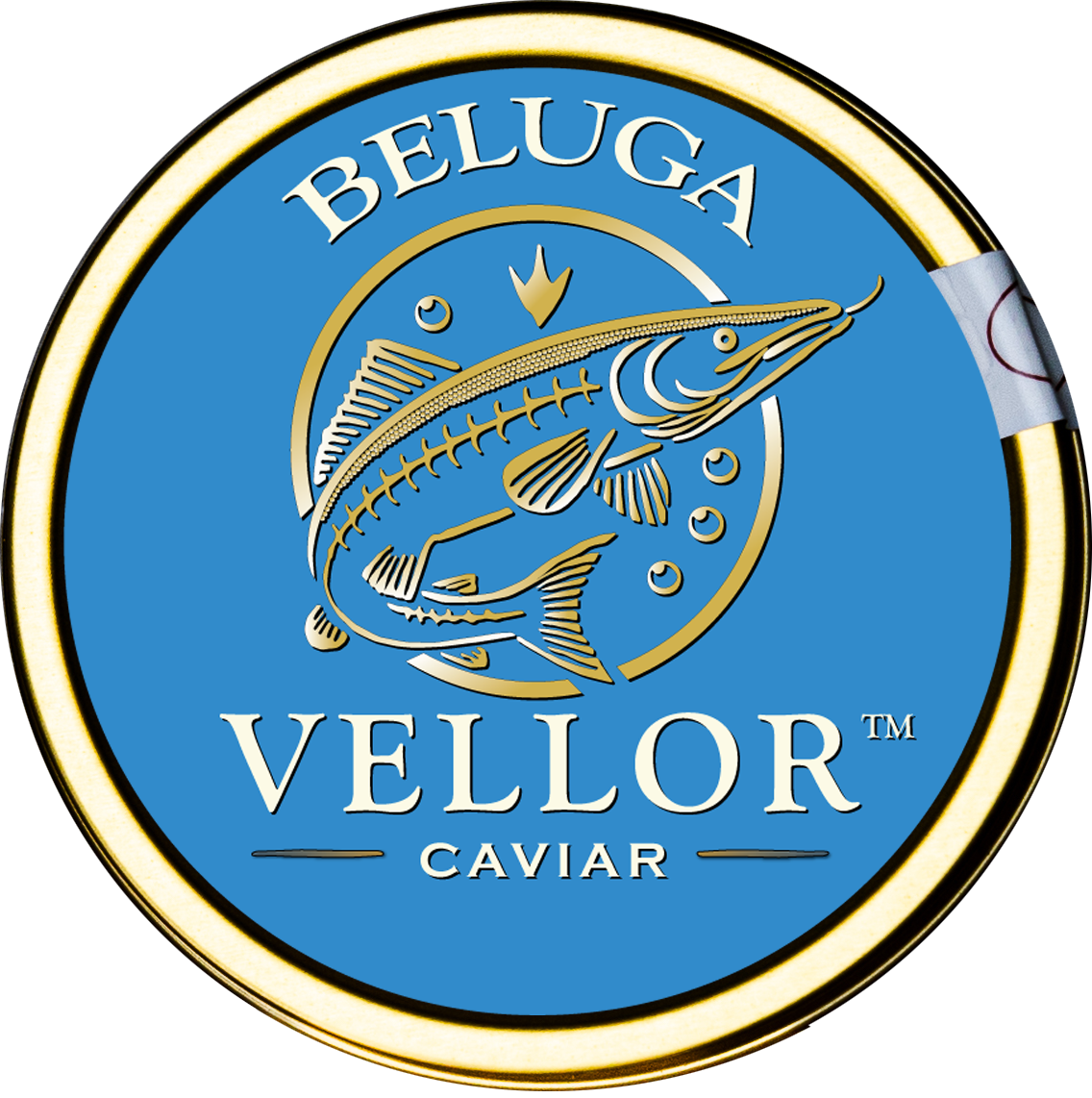 Beluga (Graded 0, 00, 000) caviar