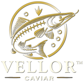 Vellor Caviar